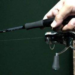 厳しい中でも…