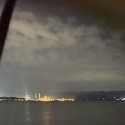 逃した魚は（ ;  ; ）