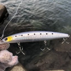 阿南でショアジギ