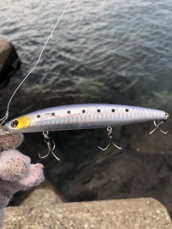 阿南でショアジギ