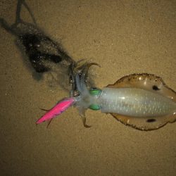 夜中の砂場遊び