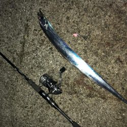 今年最後の淡路島遠征