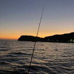 ナイトディープアジング