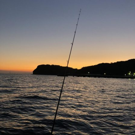 ナイトディープアジング