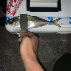 ちょこっとアジングへ