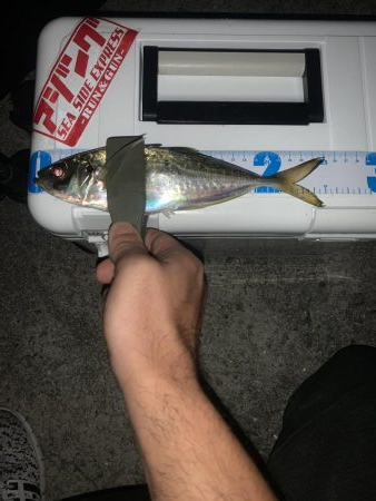 ちょこっとアジングへ