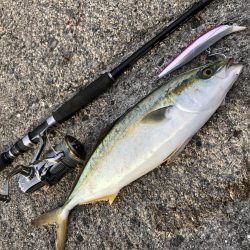 ショアジギング