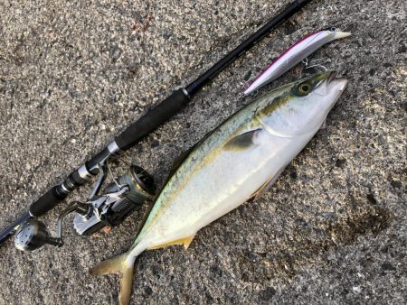 ショアジギング