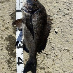 イチノ兄弟、釣果！