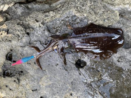 大荒れエギング