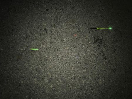 タチウオはいずこへ