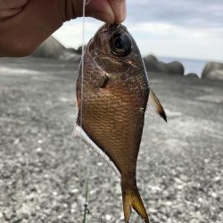 さすが室戸岬！