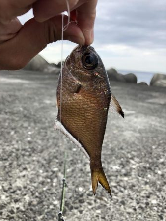 さすが室戸岬！