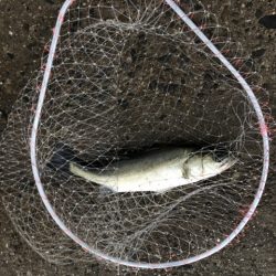 釣り人多いです、