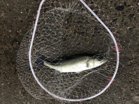 釣り人多いです、