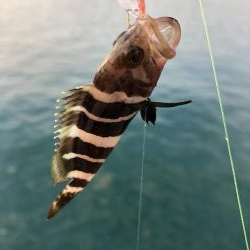 可動橋を眺めながら