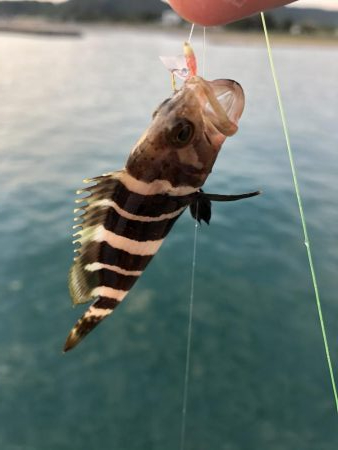 可動橋を眺めながら