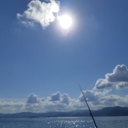 イカの気持ち４