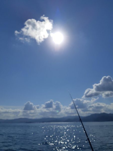 イカの気持ち４