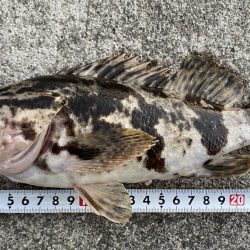 メバリング&LSJ！