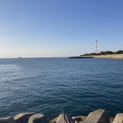 マッチ・ザ・ベイト？