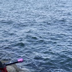 お初の貝塚人工島