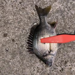 爆風ライトチニング