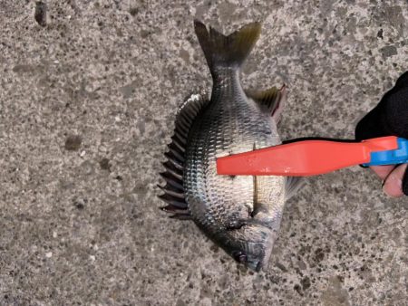 爆風ライトチニング