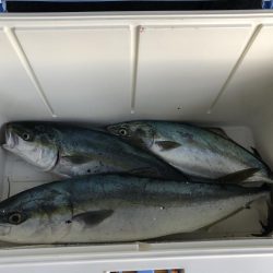 やっとハマチが釣れた