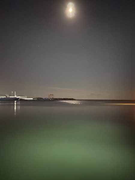 アジングでタチ