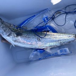 私が何処にいてるかわかるかな?