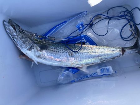 私が何処にいてるかわかるかな?