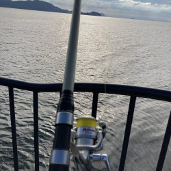 ハマチ66センチ