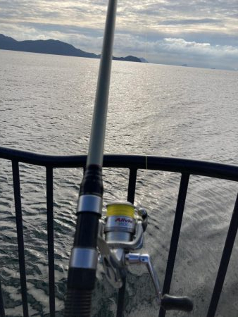 ハマチ66センチ