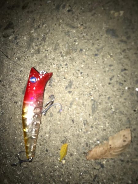 シーバス釣りパート2