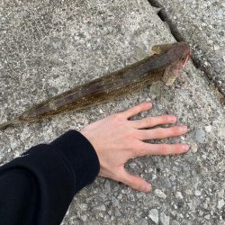 貝塚人工島 ショアジギ