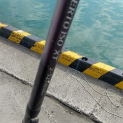 なかなか釣れないサッパ