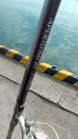 なかなか釣れないサッパ