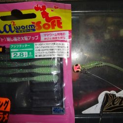 ハイシーズンなのに太刀魚は何処へ～！