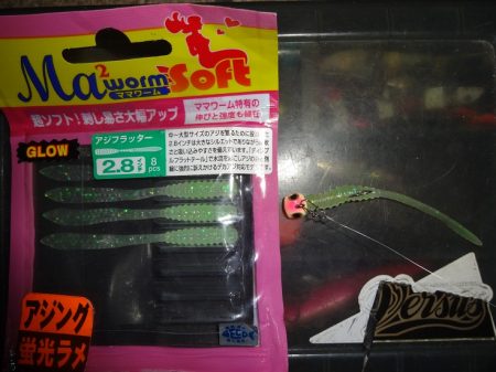 ハイシーズンなのに太刀魚は何処へ～！