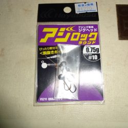 南港の太刀魚は何処へ～？