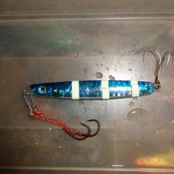 徳島連続遠征ですがそんなに甘くは無かったのです。