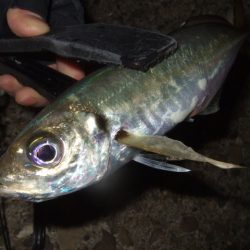 肌寒いけど水はまだ温い