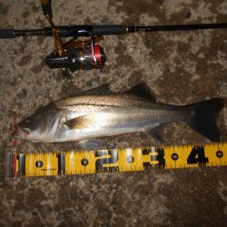 ロングAでヒット。