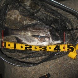 取りこぼしばっかり…。