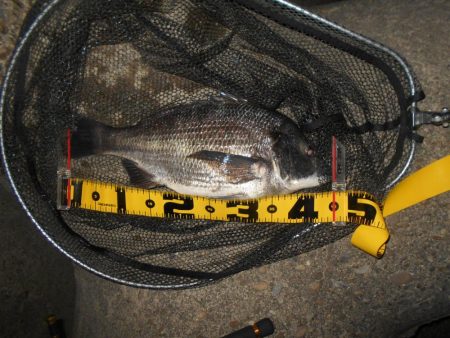 取りこぼしばっかり…。