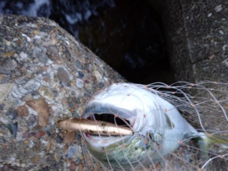 トップゲーム!!