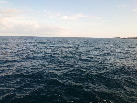 ヒラマサ狙いが。。