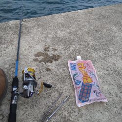 豆アジは釣れるけど