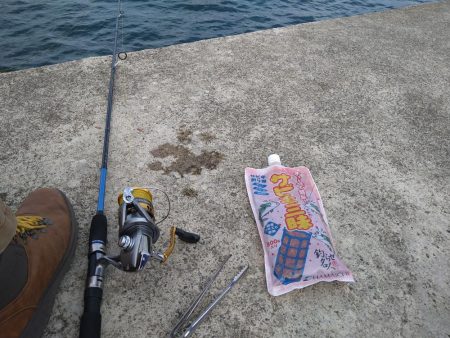 豆アジは釣れるけど